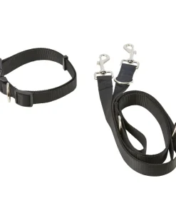 Hundeleine + Hundehalsband Gr. L, 2-tlg. Set-KiK Onlineshop Fashion