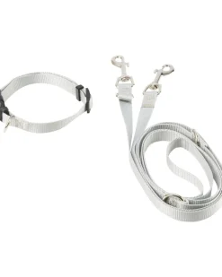 Hundeleine + Hundehalsband Gr. S, 2-tlg. Set-KiK Onlineshop Hot