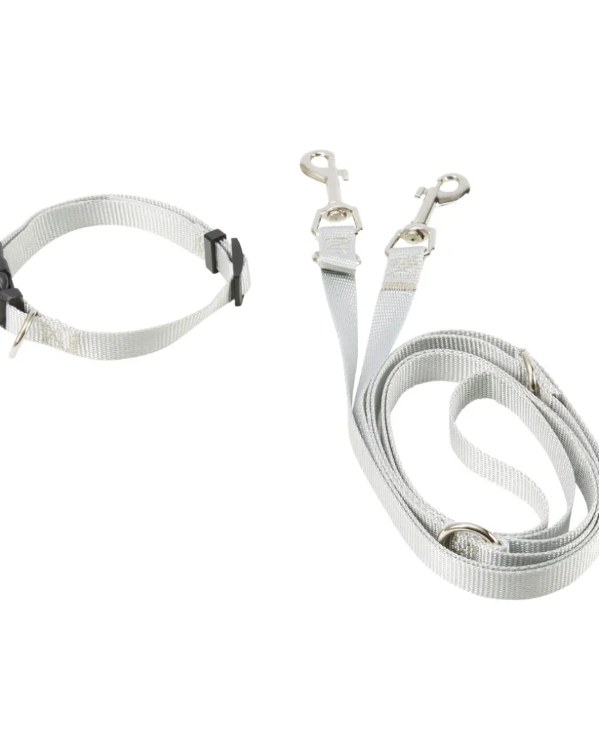 Hundeleine + Hundehalsband Gr. S, 2-tlg. Set-KiK Onlineshop Hot