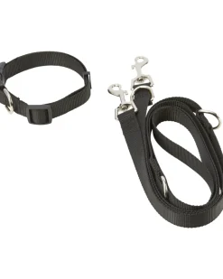 Hundeleine + Hundehalsband Gr. M, 2-tlg. Set-KiK Onlineshop Outlet