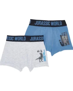 Jurassic World Retro Boxershorts 2er-Pack, verschiedene Designs-KiK Onlineshop Sale