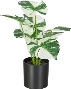 Kunstblume Monstera ca. 30 cm-KiK Onlineshop Fashion
