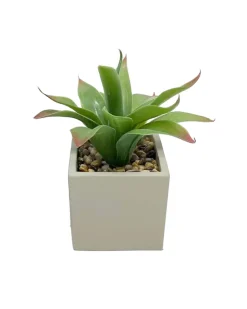 Kunstpflanze verschiedene Ausführungen-KiK Onlineshop Clearance