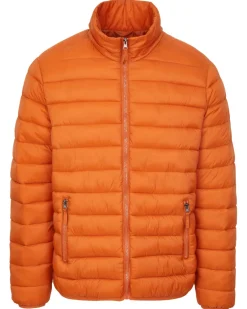Steppjacke mit Stehkragen X-Mail, Reißverschluss-KiK Onlineshop Online