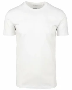 es T-Shirt Identic Basic, Rundhalsausschnitt-KiK Onlineshop Clearance